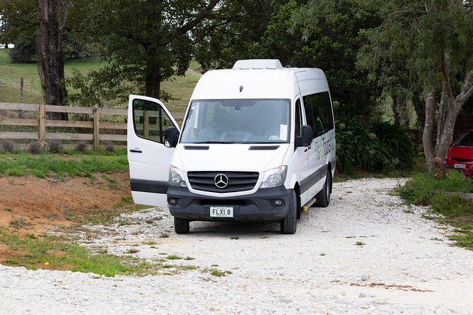 Rotorua to Auckland Afternoon Transfer With Waitomo Glow Worms - Pricing and Booking