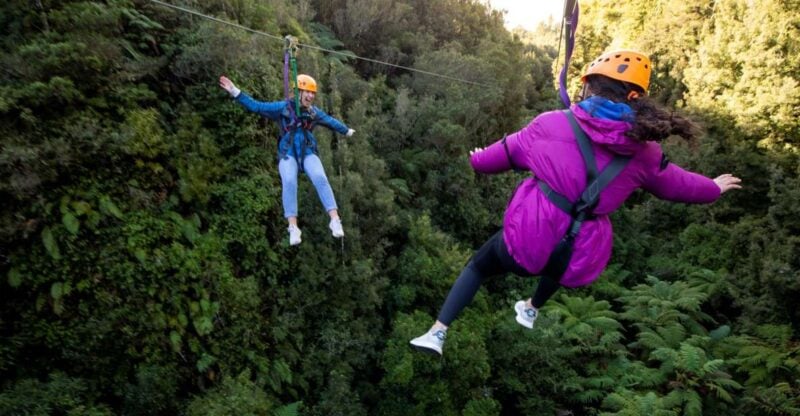 Rotorua: Ultimate Guided Zipline Tour W/ Volcanic Cliff Walk - Key Points