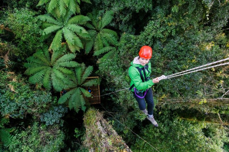Rotorua: Ultimate Guided Zipline Tour W/ Volcanic Cliff Walk - Safety Precautions