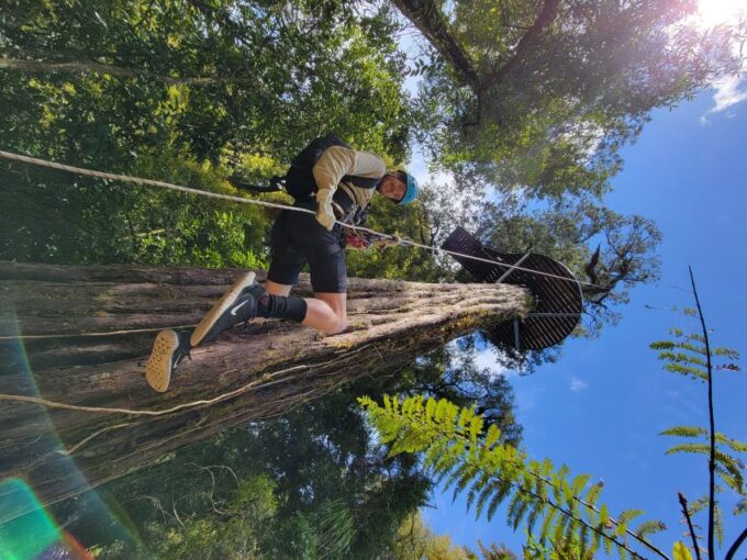 Rotorua: Ultimate Guided Zipline Tour W/ Volcanic Cliff Walk - Participant Requirements