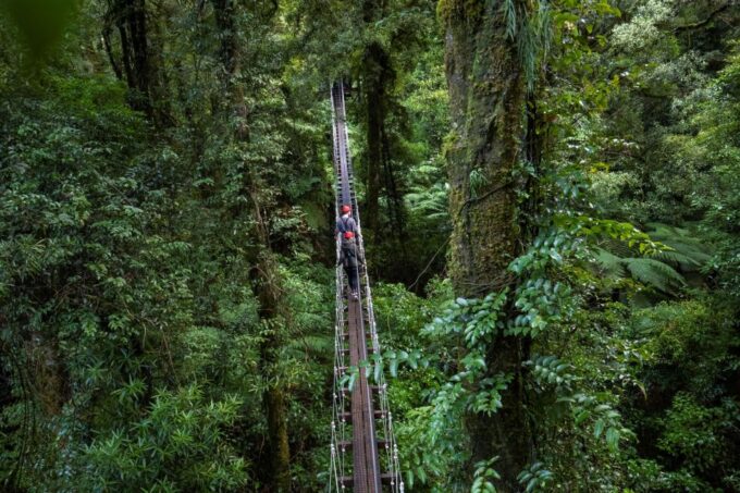 Rotorua: Ultimate Guided Zipline Tour W/ Volcanic Cliff Walk - Recap