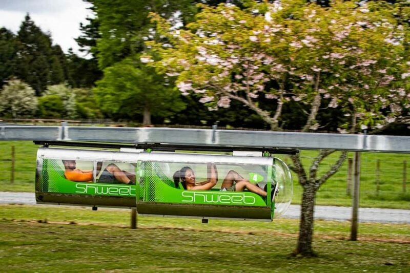 Rotorua: Velocity Valley - One Ride Pass - An In-Depth Look at Velocity Valley’s Attractions