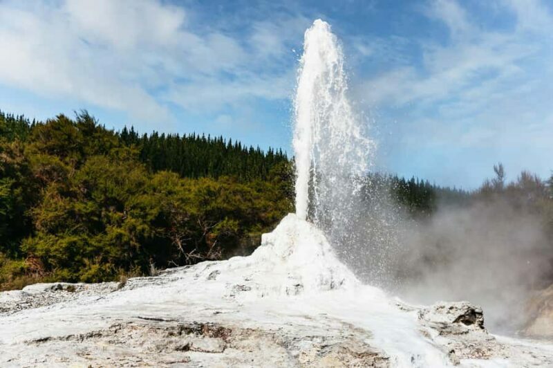 Rotorua: Wai-O-Tapu Geothermal Park Entry Ticket - Key Points