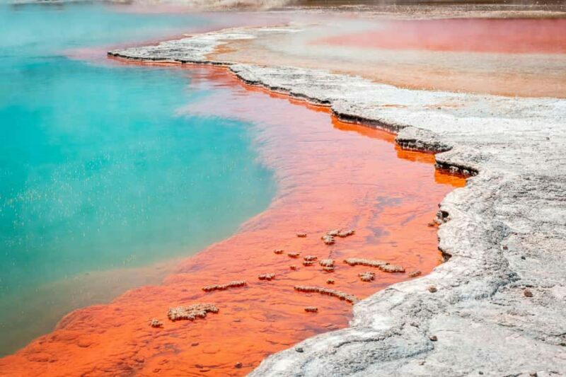 Rotorua: Wai-O-Tapu Geothermal Park Entry Ticket - An Introduction to Wai-O-Tapu: Geothermal Magic Just Outside Rotorua