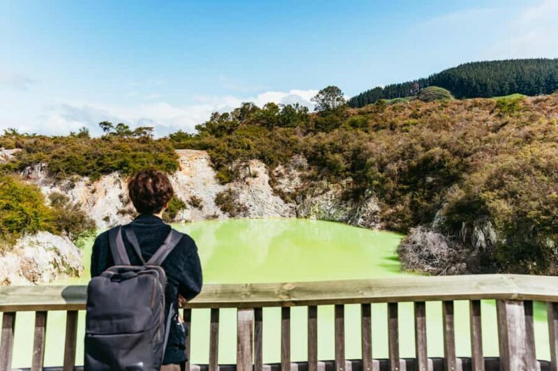 Rotorua: Wai-O-Tapu Geothermal Park Entry Ticket - What To Expect at Wai-O-Tapu