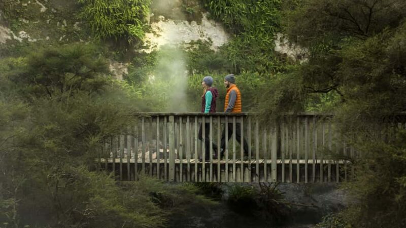 Rotorua: Waimangu Volcanic Valley Entry Ticket - Key Points