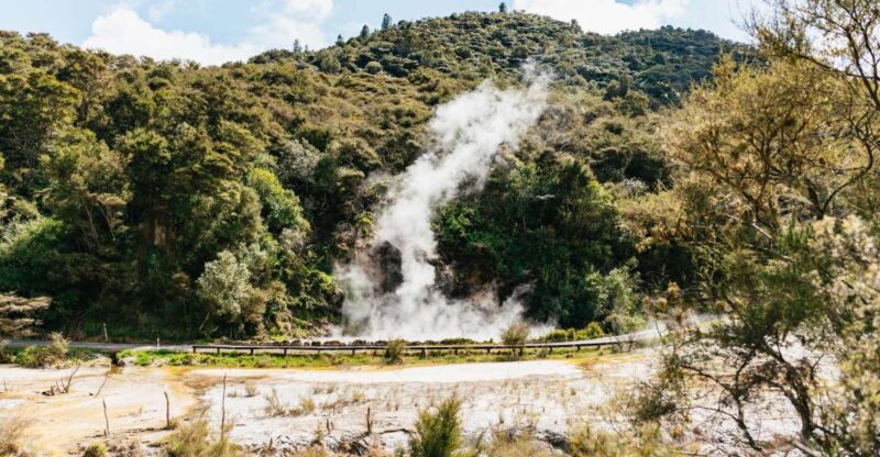 Rotorua: Waimangu Volcanic Valley Entry Ticket - Key Points