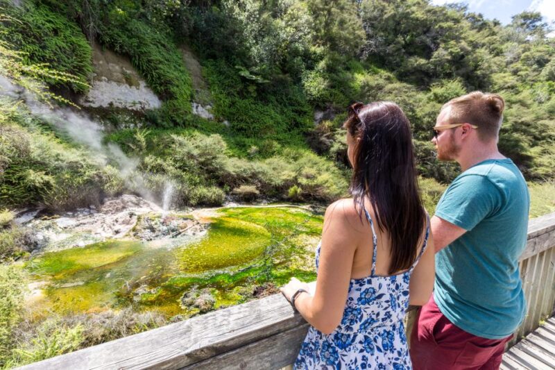 Rotorua: Waimangu Volcanic Valley Entry Ticket - Exploring the Volcanic Valley