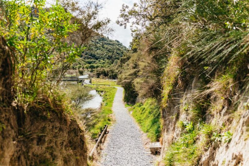 Rotorua: Waimangu Volcanic Valley Entry Ticket - Highlights of the Geothermal Landscape