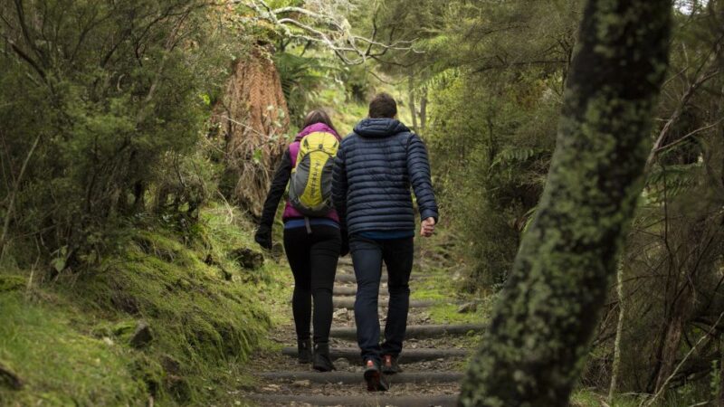 Rotorua: Waimangu Volcanic Valley Entry Ticket - Transportation and Onsite Shuttle