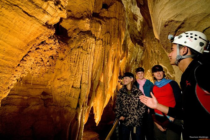 Rotorua & Waitomo Caves Day Tours From Auckland - Accessibility