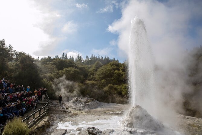 Rotorua & Waitomo Caves Day Tours From Auckland - Rotorua Highlights