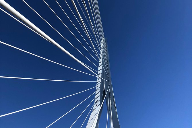 Rotterdam Architecture Highlights Walking Tour - Meeting Point and End Point