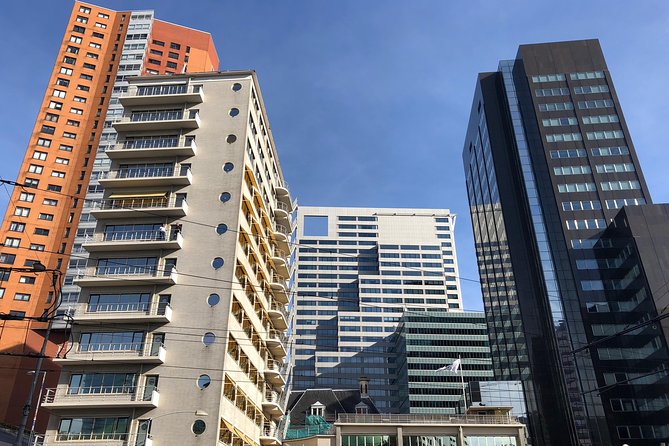 Rotterdam Architecture Highlights Walking Tour - Minimum Age and Group Size