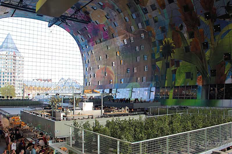 Rotterdam: City Center Walking Tour - Key Points