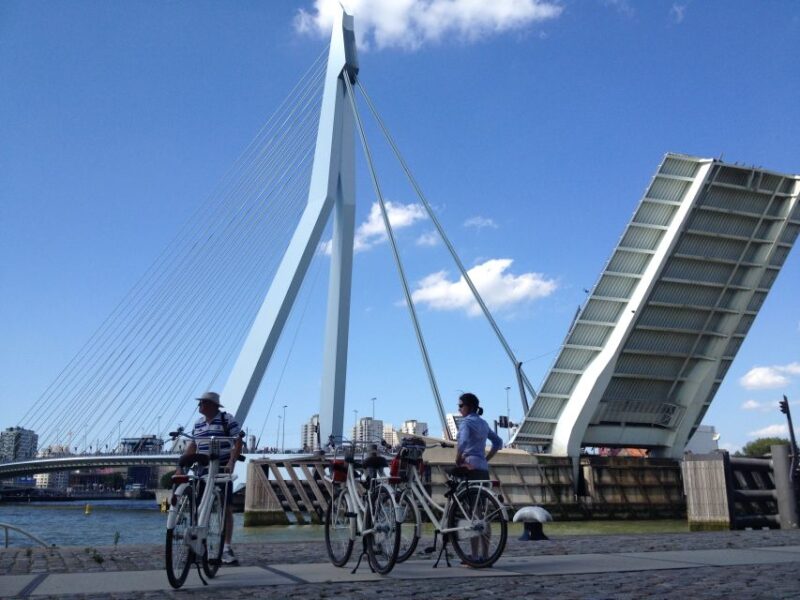 Rotterdam: City Highlights Guided Bike Tour - Experience Highlights