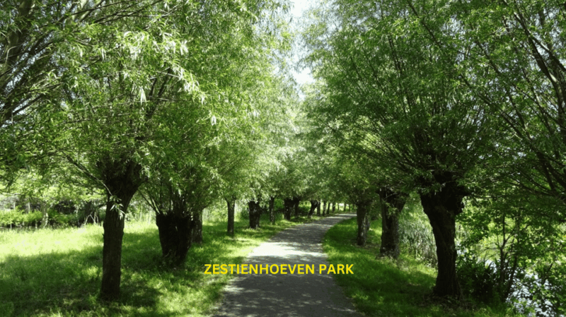 Rotterdam Countryside on the Wheels - Bike Tour Around City - Key Points