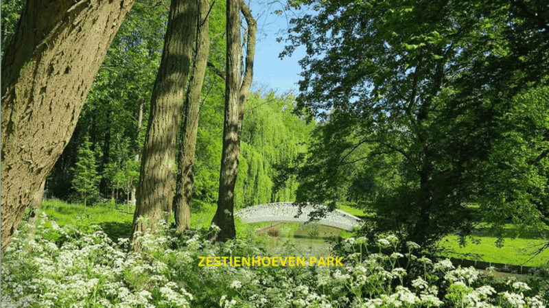 Rotterdam Countryside on the Wheels - Bike Tour Around City - Key Features of the Tour