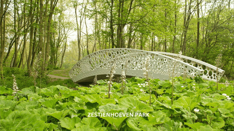 Rotterdam Countryside on the Wheels - Bike Tour Around City - Participant Considerations