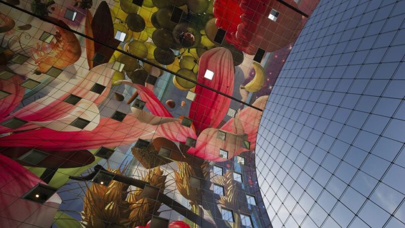 Rotterdam: De Rotterdam, Cube Houses, Water Taxi and Market Hall - Experience Details