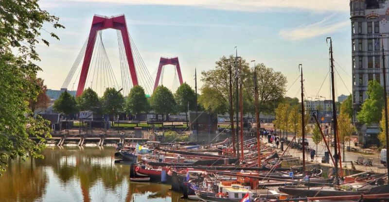 Rotterdam Discovery Walk: Iconic Markets & Modern Marvels - Itinerary Highlights