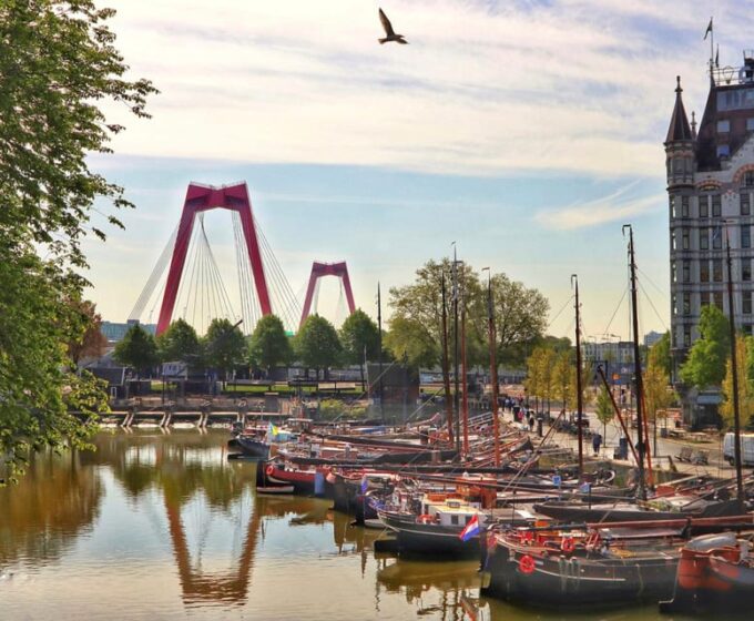 Rotterdam Discovery Walk: Iconic Markets & Modern Marvels - Group Size and Pricing