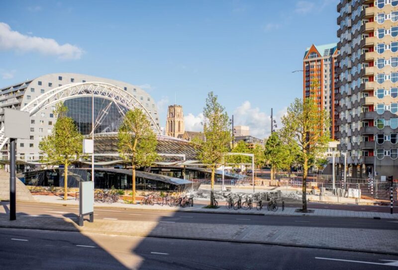 Rotterdam: Express Walk With a Local in 90 Minutes - Local Insights