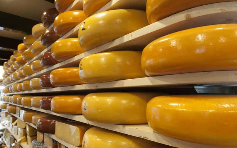 Rotterdam & Gouda Private Daily Walking and Train Tour - Key Points