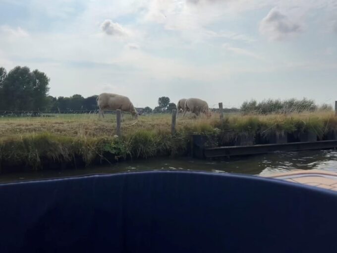 Rotterdam: Green Heart Midden-Delfland: Luxury Boat Tour - Duration and Languages