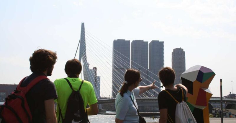 Rotterdam: Group Architecture Walking Tour Led by Architects - Architectural Landmarks