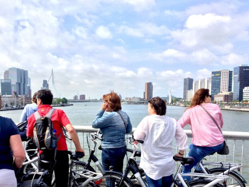 Rotterdam Highlights 2.5-Hour Bike Tour - Tour Language and Meeting Point