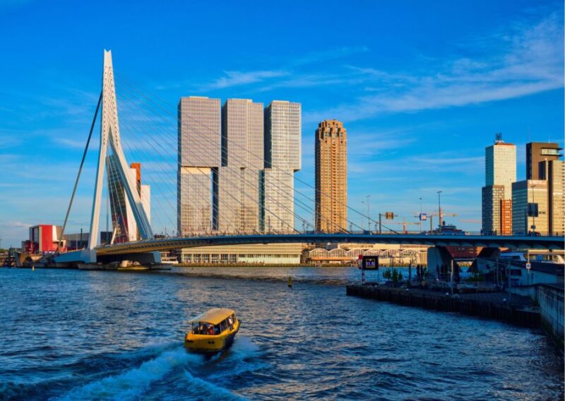Rotterdam Highlights With Local: Walking Tour & Boat Cruise - Key Points