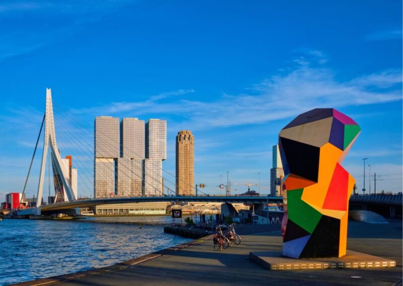 Rotterdam Highlights With Local: Walking Tour & Boat Cruise - Participant Information