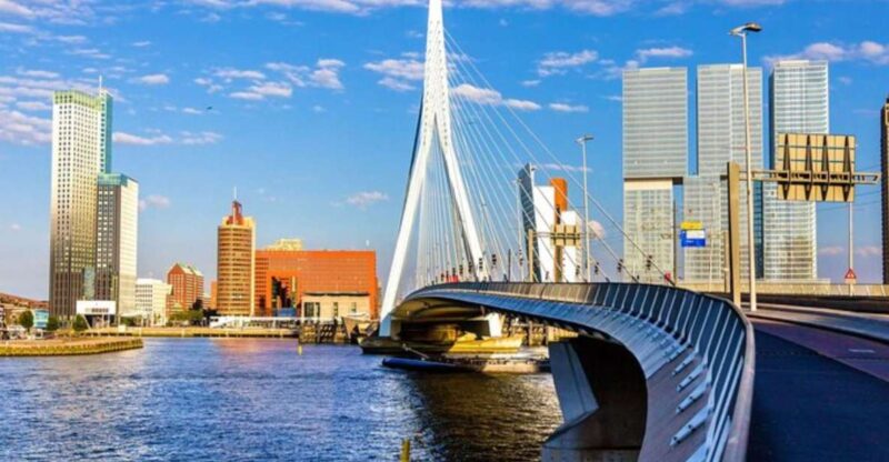 Rotterdam: Private Custom Walking Tour With Local Guide - Booking Details