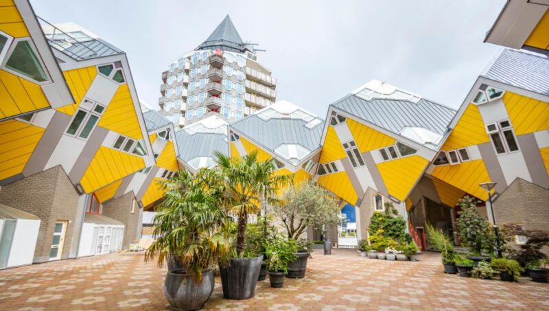 Rotterdam: Private Exclusive History Tour With Local Expert - Tour Features