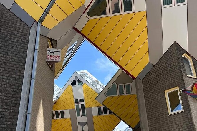 Rotterdam: Private Tour With Local Guide - Positive Guest Experiences