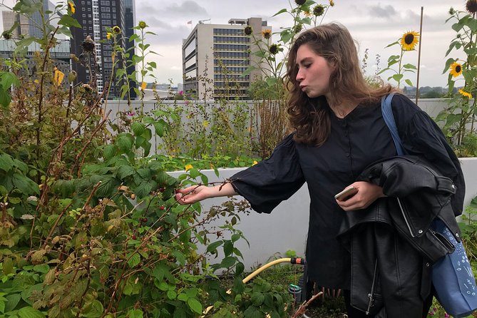 Rotterdam Travel to the Future Walking Tour - Tour Duration and Language Options