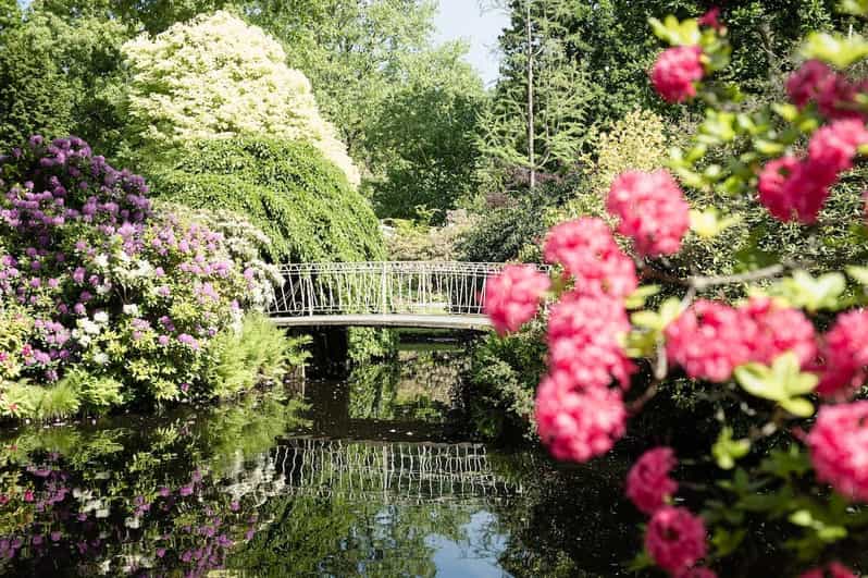 Rotterdam: Trompenburg Botanical Gardens Entry Ticket - Key Points