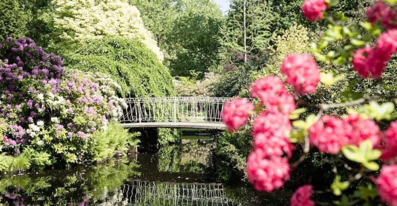 Rotterdam: Trompenburg Botanical Gardens Entry Ticket - Garden Highlights and Features
