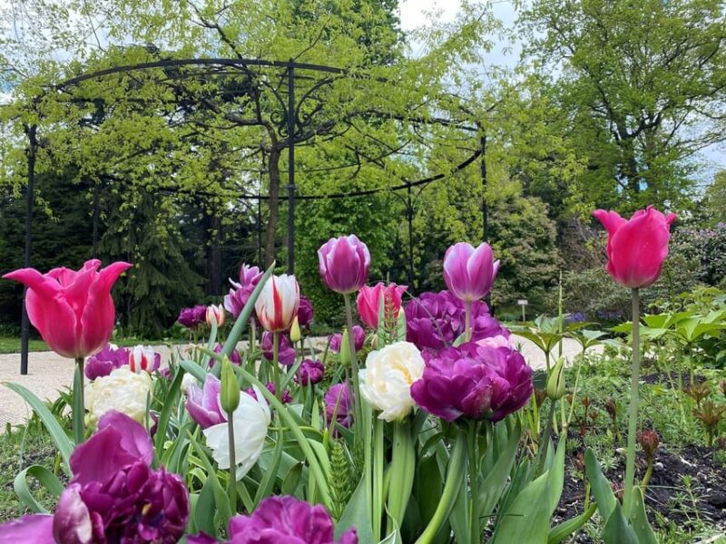 Rotterdam: Trompenburg Botanical Gardens Entry Ticket - Customer Ratings and Feedback
