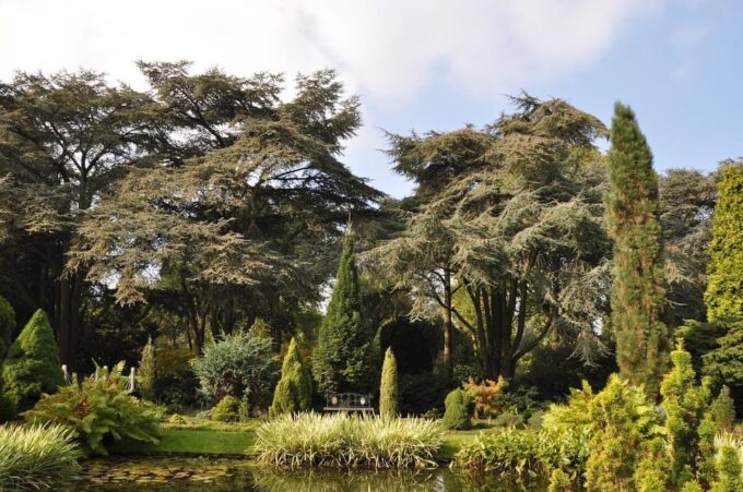 Rotterdam: Trompenburg Botanical Gardens Entry Ticket - Frequently Asked Questions