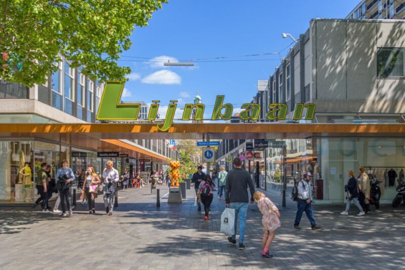 Rotterdam: Walking Tour With Audio Guide on App - App and Navigation