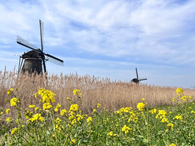 Rotterdam: Waterbus Ticket to Dordrecht And/Or Kinderdijk - Key Points