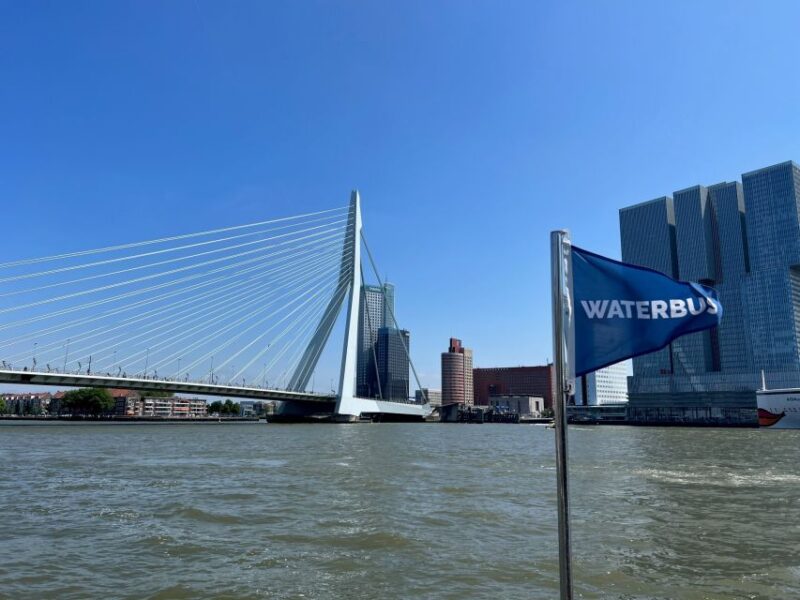 Rotterdam: Waterbus Ticket to Dordrecht And/Or Kinderdijk - Experience Highlights