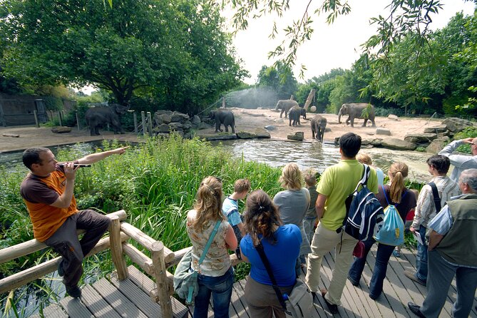 Rotterdam Zoo Diergaarde Blijdorp Direct Entrance Ticket - Accessibility and Amenities
