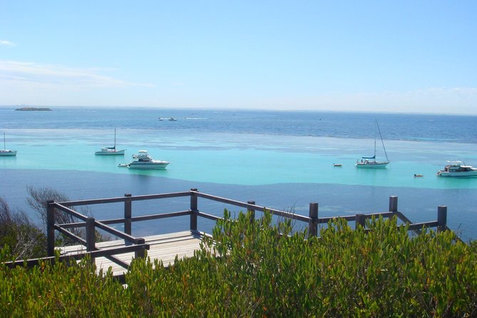 Rottnest Bayseeker Bus Tour From Hillarys Boat Harbour - Itinerary Highlights