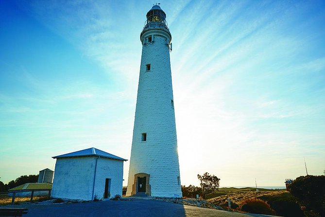 Rottnest Bayseeker Bus Tour From Hillarys Boat Harbour - Inclusions and Exclusions