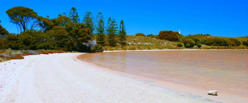 Rottnest Grand Island Package With Ferry, Tour & Light Lunch - Meeting Points