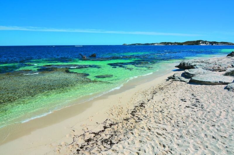 Rottnest Grand Island Package With Ferry, Tour & Light Lunch - Visit Must-See Locations