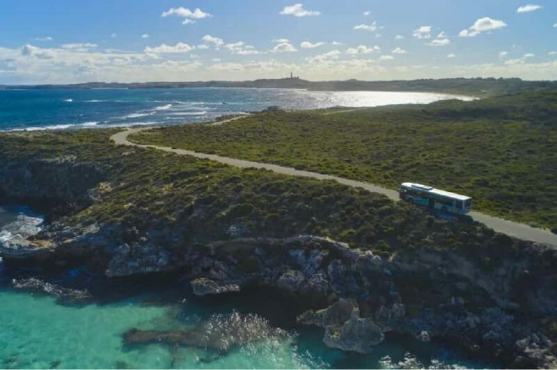 Rottnest Island 1.75 Hour Bayseeker Island Tour - Exploring Rottnest Island in 1.75 Hours: What to Expect